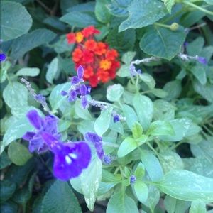 Meet your Posher, Fran