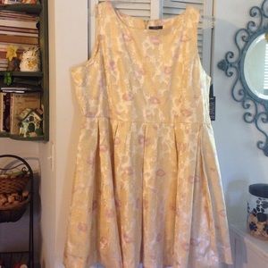 BB Dakota Classic Stunner dress in Floral