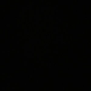 Meet your Posher, Isabella