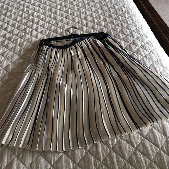Pleated Skirt