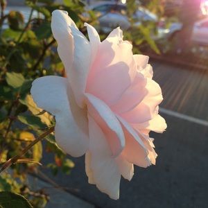 Meet your Posher, Vera