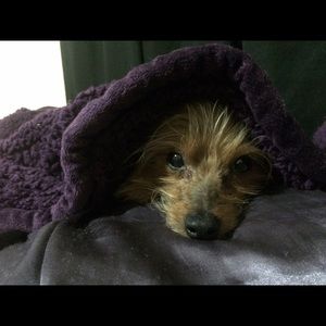 Meet your Posher, Christie