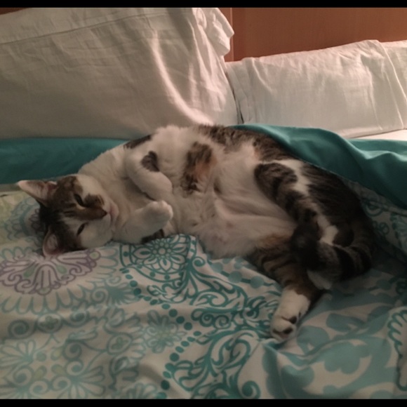 Meet your Posher, Elizabeth