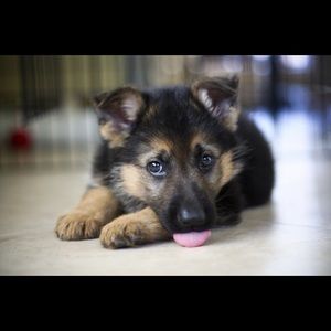 Meet your Posher, Emily