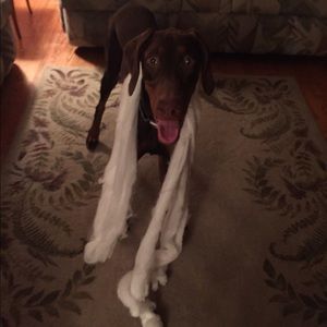 Meet your Posher, Jack