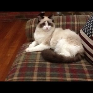 Meet your Posher, Margaret