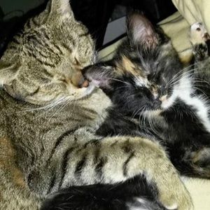 Meet your Posher, Caroline