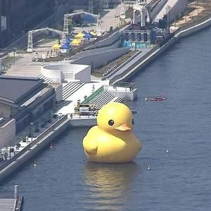 Meet your Posher, Douglas