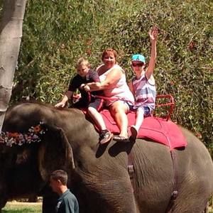 Meet your Posher, Anabella