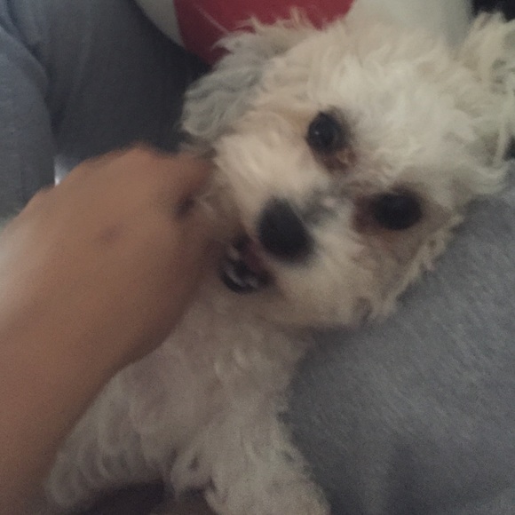 Meet your Posher, Chris - Picture 1 of 1