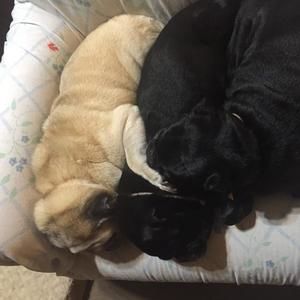 Meet your Posher, Kim