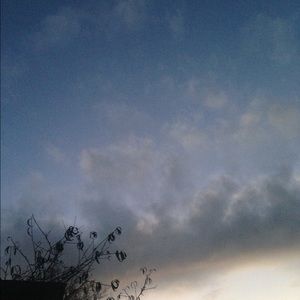 Meet your Posher, Esther