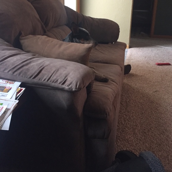 Meet your Posher, Laura