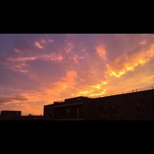 Meet your Posher, Anny