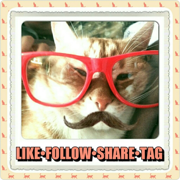 FOLLOW GAME! PLS LIKE, FOLLOW & SHARE! - Picture 2 of 3