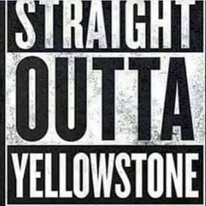 Meet your Posher, Bryan