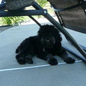 Meet your Posher, Jenna