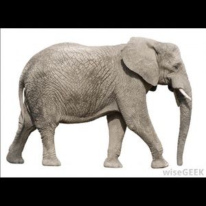 Meet your Posher, Traci