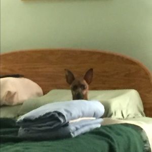 Meet your Posher, Kevin