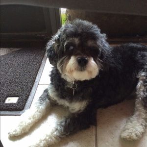 Meet your Posher, Karen