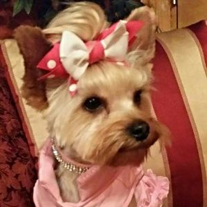 Meet your Posher, Julie