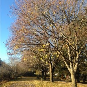 Meet your Posher, Anela