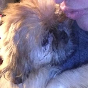 Meet your Posher, Destiny