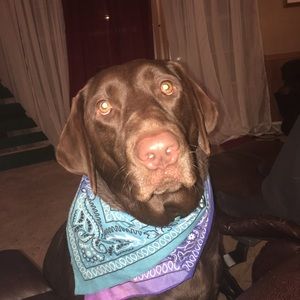 Meet your Posher, Faith