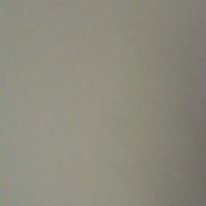 Meet your Posher, Shelli