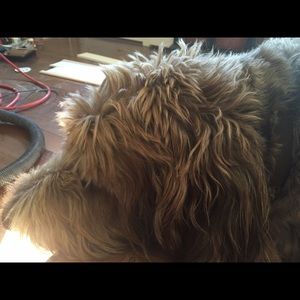 Meet your Posher, Grace