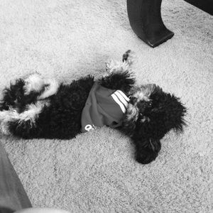 Meet your Posher, Latosha