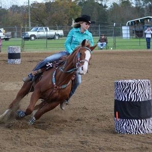 Meet your Posher, Brandy