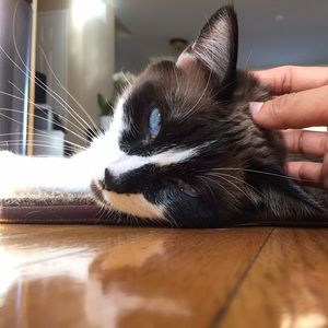 Meet your Posher, Pei