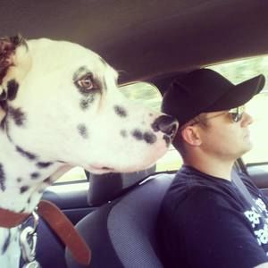 Meet your Posher, Shawn