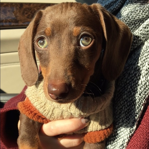 Meet your Posher, Alyssa