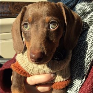 Meet your Posher, Alyssa