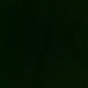 Meet your Posher, Camilla