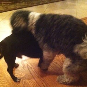 Meet your Posher, Matt