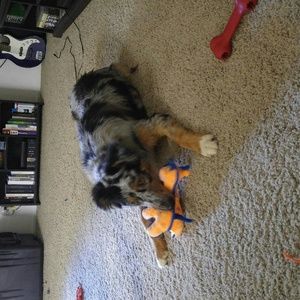 Meet your Posher, Sam