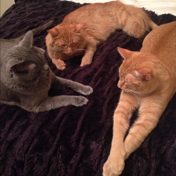 Hi I'm Amber😉 - Picture 2 of 5