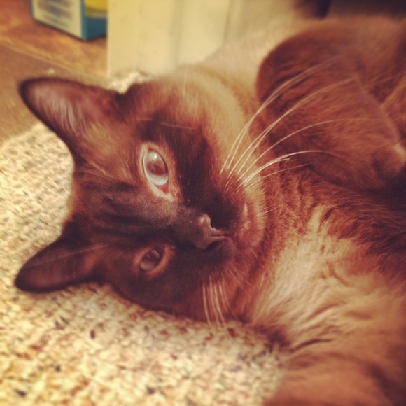 Hi I'm Amber😉 - Picture 4 of 5