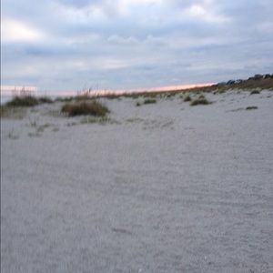 Meet your Posher, Laraine