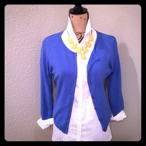 🎉🎉FLASH FRIDAY SALE🎉🎉BLUE SWEATER EXPRESS M🎉