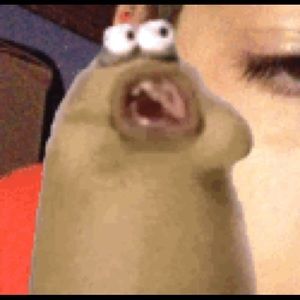 Meet your Posher, Jared