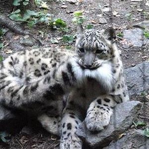 Meet your Posher, Anne