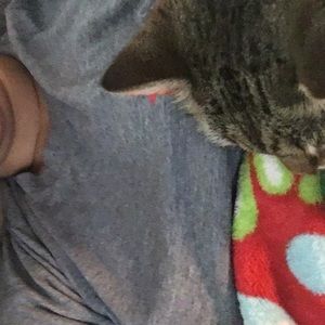 Meet your Posher, Josie