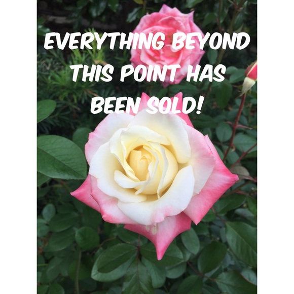 ✨💄🌻💥☔️ - Picture 1 of 1