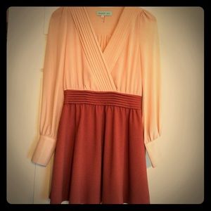 Vintage looking maroon and nude dress!