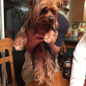 Meet your Posher, Tonya