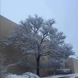 Meet your Posher, Mayur